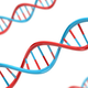 DNA (Thinkstock)